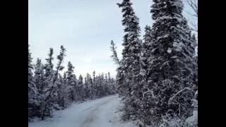 My life in Arctic(23)-Walking  Path/Nov 6/2016