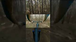 Best New Trail At Woodhill // Rowdy Neighbour