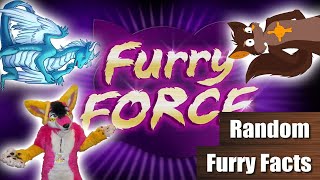 FURRY FORCE | Mehr DRAMA im FANDOM | Random Furry Facts