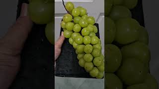 Seedless grapes na maraming seeds 🤣🤣🤣 #food #danganddidi #grape #fruits #short #trending #fyp