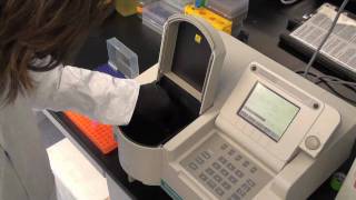 Spectrophotometry