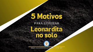 5 MOTIVOS PARA UTILIZAR A LEONARDITA NO SOLO