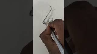 How To Draw Easy Nose 👃#shorts #drawing #youtubeshorts #art #pencildrawing