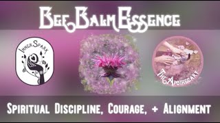 Activate Spiritual Discipline With Bee Balm Flower Essence