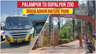 Dhauladhar Nature Park (Zoo) Gopalpur Palampur To Gopalpur Zoo by Hrtc bus | Bus Wale Bhaiya