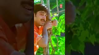 #superhitmalayalamsongs #evergreenmelodysongs #evergreenmalayalamhits