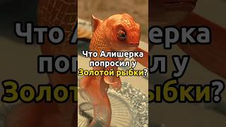 Моргенштерн встретил Golden Fish / Золотую Рыбку) #arutacademy #моргенштерн #юмор #приколы