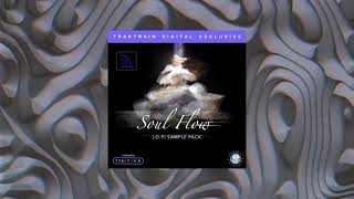 Soul Flow Lo-Fi Sample Pack (300+) | TRAKTRAIN Digital Exclusive