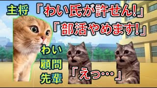 部活動の主将と喧嘩しました　#猫マニ #猫ミーム