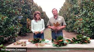 DIY Seasonal Sprigs Wreath LIVE From the Farm