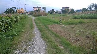 1 kathha land for sale near Bharatpur Cancer Hospital Chitwan