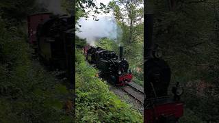 Hoya und 99 6001 auf der Selketalbahn