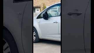 Crow Looks into Car Mirror