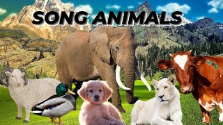 CUTE LITTLE ANIMALS: COW, LION, SHEEP, DOG, CATS, DUCKS, ELEPHANT