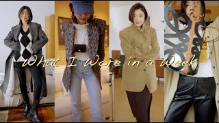 一周穿搭丨第四集 秋冬合集丨Fall Winter Outfits丨Savislook