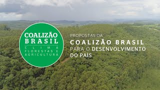 Coalizão Brasil: Desenvolvimento econômico exige manter a floresta em pé