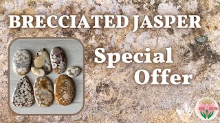 Saturday Special Offer | Brecciated Jasper | Heal and Ascend |