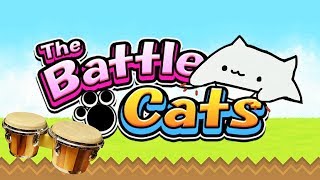 THEY PUT BONGO CAT IN BATTLE CATS?!