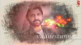 Malli raava title song||male version||lyrical video||vikasbejawada||wiki