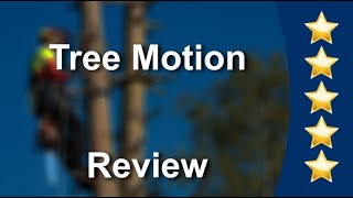 Tree Motion Reviews - Five Stars for Tree Removal in Fort Lauderdale, FL