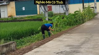 Nghèo Mà Có Tình - Thanh Vinh & Hồng Quyên