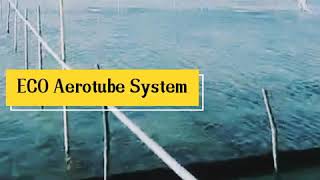 ECO Aerotube/Nanotube system.