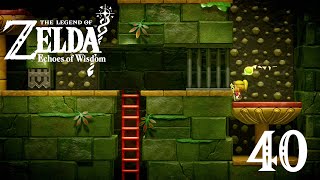 The Legend Of Zelda: Echoes of Wisdom | Part 40 | Faron Temple 2F (NS) HD60