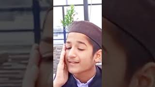 Pakistani Child Muhammad AbuBakar Gone Viral in the World After his Recitation | Digital #digital