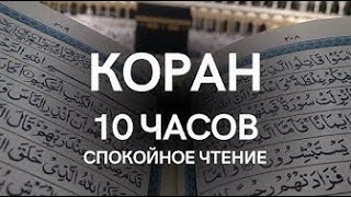 КОРАН 10 ЧАСОВ КРАСИВОЕ ЧТЕНИЕ СЛУШАЙТЕ КАЖДЫЙ ДЕНЬ