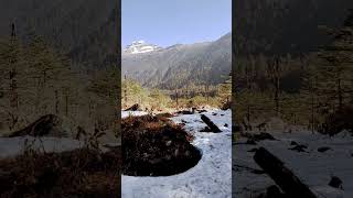 Yung Thang Valley ⛰️⛰️, Near Lachung, North Sikkim.