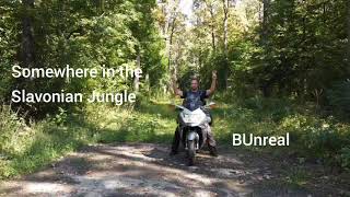 Slavonian Jungle with BUnreal 😜