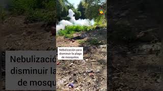 La contaminación del arroyo de Purechucho con drenajes de Huetamo, un problema de más de 30 años.