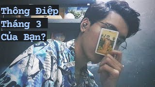 Thông Điệp Tháng 3 Dành Cho Bạn Là Gì? - Tarot Trải Bài