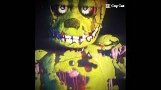 Spring trap Is Always back