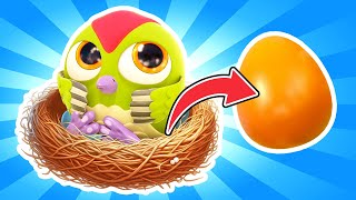 Surprise eggs for Hop Hop the Owl. Baby learning videos & educational cartoons for babies.