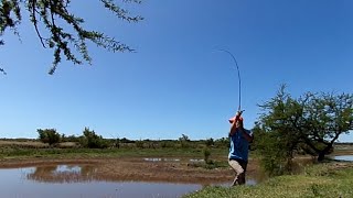 🤯 PESCA CAMPESINA, espirales CASEROS, tarde /noche con unos compañeros 💥