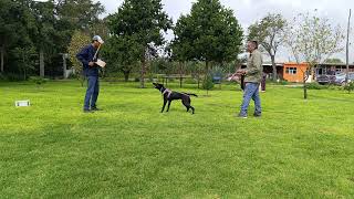 INICIO DE TRABAJO DE CUIDA EL PERRO ESTA DES ACTIVADO SE ACTIVA VA CUIDA ATACA SUELTA Y REGRESA