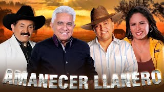 🐴Recios Del Llano🐴Lo Mejor De La Musica Llanera🐴Armando Martinez, Jorge Guerrero , Luis Silva y mas