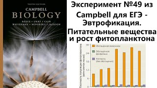 Эксперимент №49 из Campbell для ЕГЭ -  Эвтрофикация. Питательные вещества и рост фитопланктона