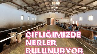 ÇİFTLİĞİMİZİ TANITIYORUM TÜM DETAYLAR SİZLERLE.