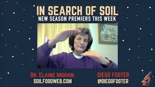 The Optimum Fungal to Bacteria Ratio in the Soil - Dr. Elaine Ingham