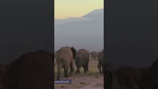 Mount Kilimanjaro