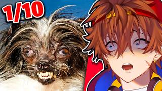 I Rated My Viewers Pets... (Full Stream)