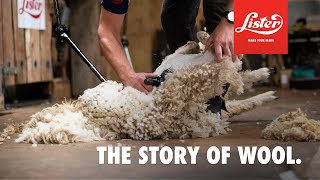 The Story Of Wool