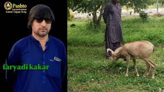 pashto new song faryadi kakar 2023   اے زما د وطن بچ            ریکارڈینگ H.M.C سٹڈیو کوہٹہ