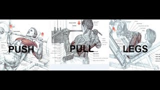 برنامج التدريب الشهير   PUSH PULL LEGS  (ppl) avec programme