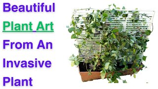 Beautiful Art From Invasive Wintercreeper Plant