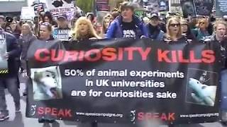 World Day for Animals in Laboratories 2019  - Highlights in Oxford