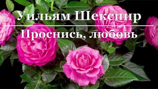 Уильям Шекспир - Проснись, любовь - Сонет 56