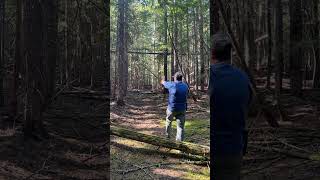 Bigfoot Tree Markers 🌳 #bigfoottreemarkers #outdoors #forestadventures